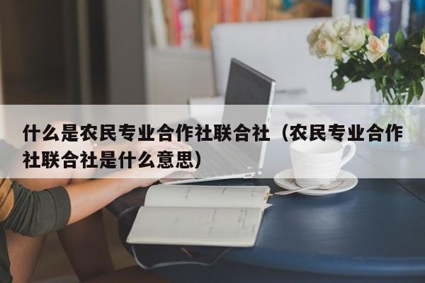 什么是农民专业合作社联合社（农民专业合作社联合社是什么意思）