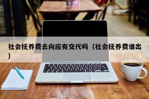 社会抚养费去向应有交代吗（社会抚养费谁出）