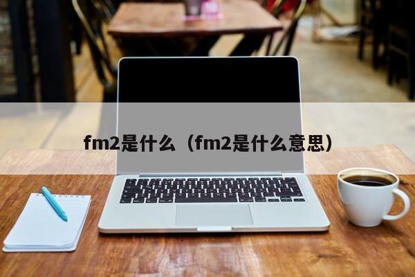 fm2是什么（fm2是什么意思）