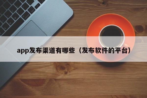 app发布渠道有哪些（发布软件的平台）