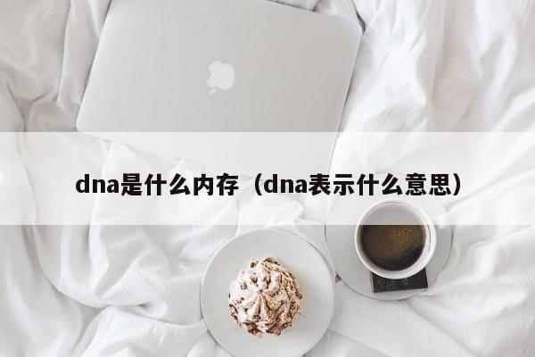 dna是什么内存（dna表示什么意思）