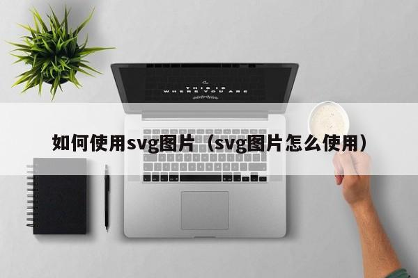 如何使用svg图片（svg图片怎么使用）